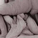 This Perfectly Innocent Quiz Will Reveal Whether You Have A Dirty Mind
