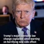 Trump’s major cannabis law change explained amid warning on horrifying new side effect