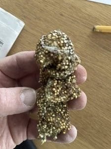 “Found this sticky gunk under a shelf inside my house. What is this?”