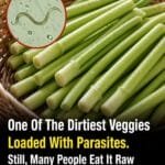 Why Raw Green Onions Can Carry Hidden Risks