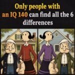 Only people with an IQ 140 can find all the 6 differences