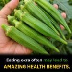 Okra May Do More for Your Health Than You Think – Here’s What to Know