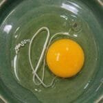 This morning, I woke up and decided to make fried eggs.