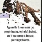 The ultimate visual brain-scan test: left-brained, right-brained ?