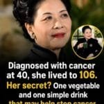 A legacy of health: Soong Mei-ling – longevity and fight against cancer