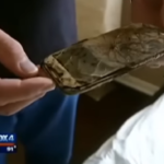Firefighters Reveal the Worst Place to Keep Your Phone