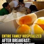 Entire Family Hospitalized After Breakfast: Doctors Warn Against Cooking Eggs These 4 Ways