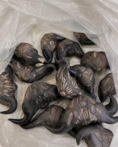 My Neighbor Gave Me These Strange Fruits – Does Anyone Know What They Are?